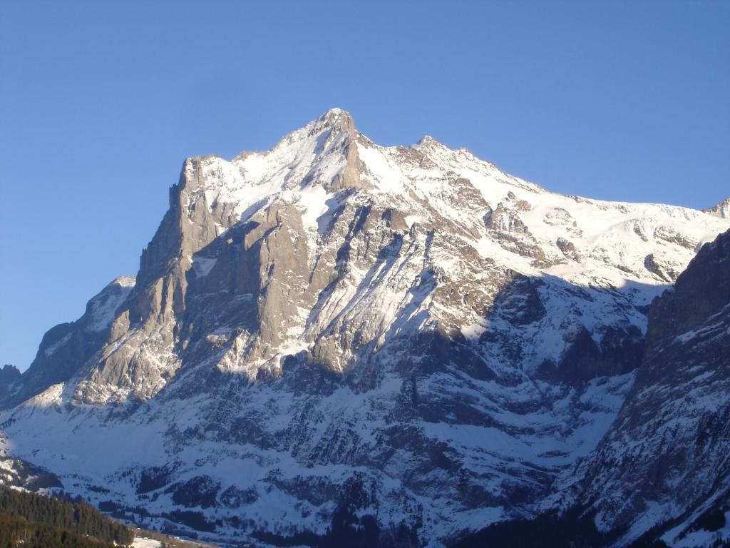 Chalet Spinne Grindelwald Room photo
